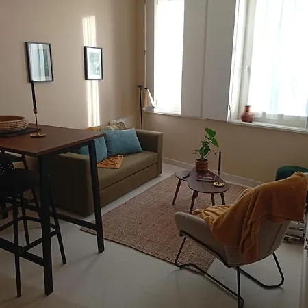 Apartment Charming & Sunny In Historic Porto